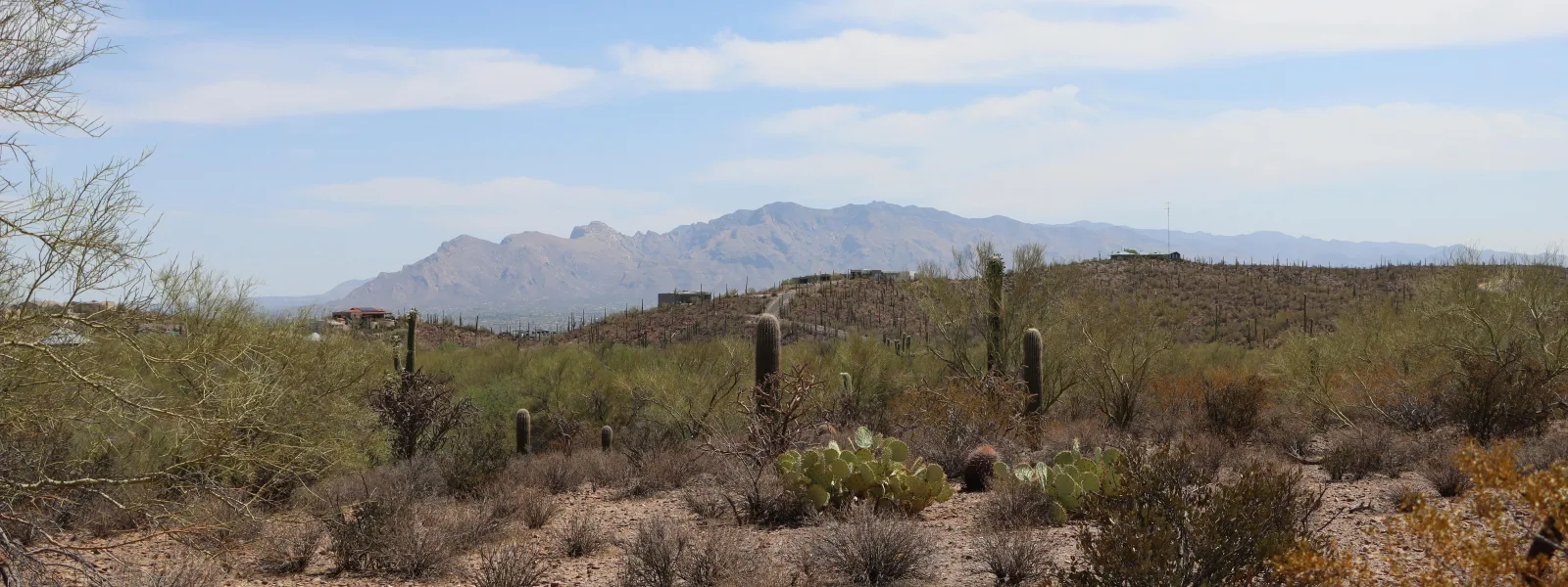 Tucson, Arizona